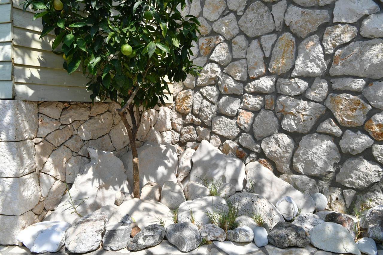Áyios Nikítas Villa Christianna Studios מראה חיצוני תמונה